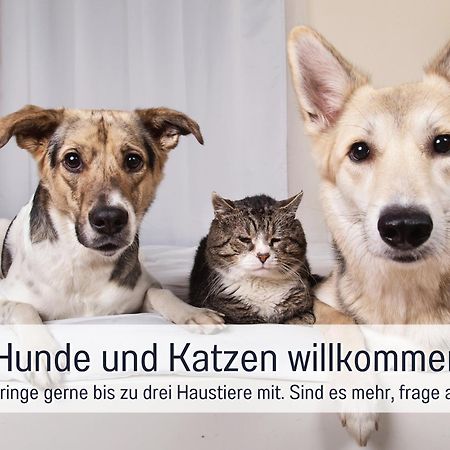 Ferienhaus Topferhaus: Beach-Close Pet-Friendly Retreat with Workation Amenities Steinberg  Exterior photo